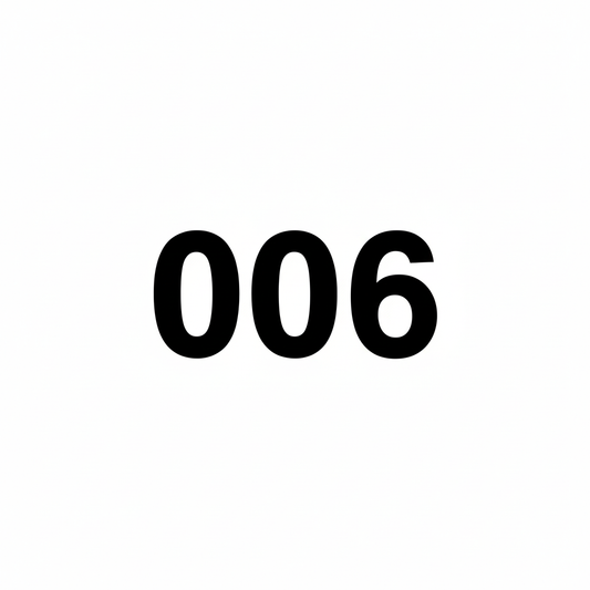 006 Tiktok Jewelry Earrings