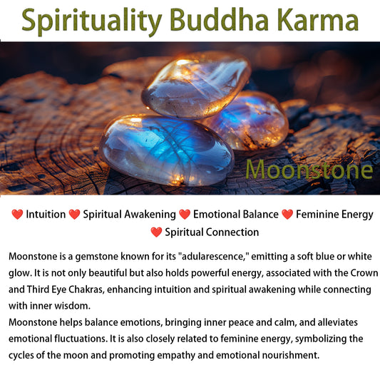 12 Constellations of the Zodiac Moonstone Charming Bracelet